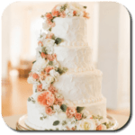 Wedding Cakes APK İndir – Android Düğün Pastası Uygulaması