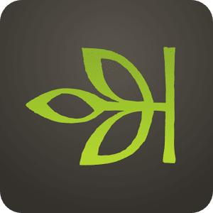 Ancestry-Soy-Aac.png